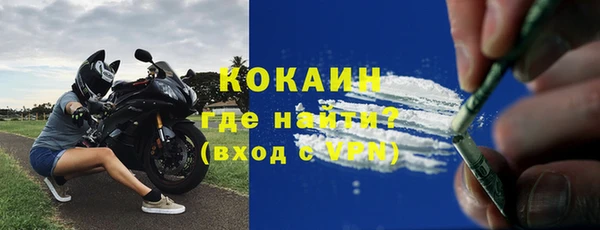 шишки Снежинск