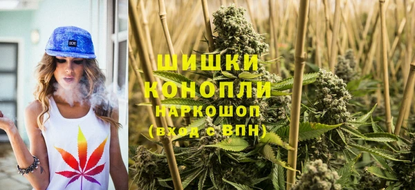шишки Снежинск