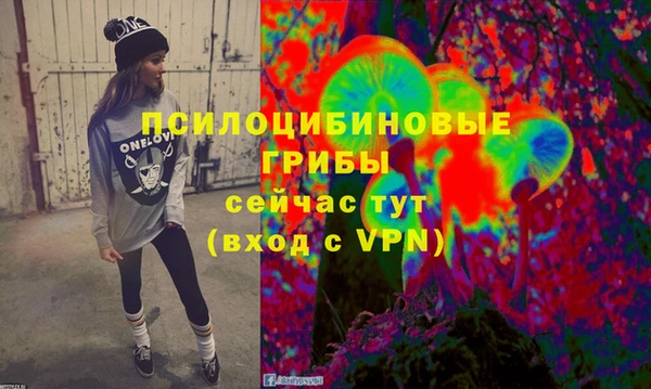 mdma Снежногорск