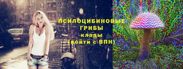 mdma Снежногорск