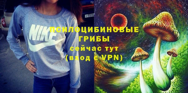 дмт Слюдянка