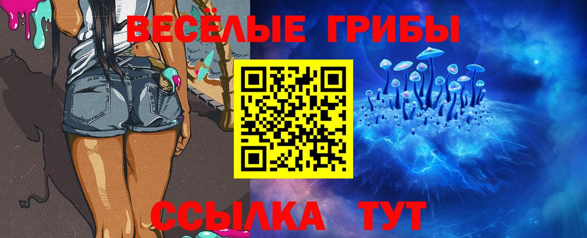 наркота  Псилоцибиновые грибы Psilocybine cubensis  Вход с VPN  Богородск 