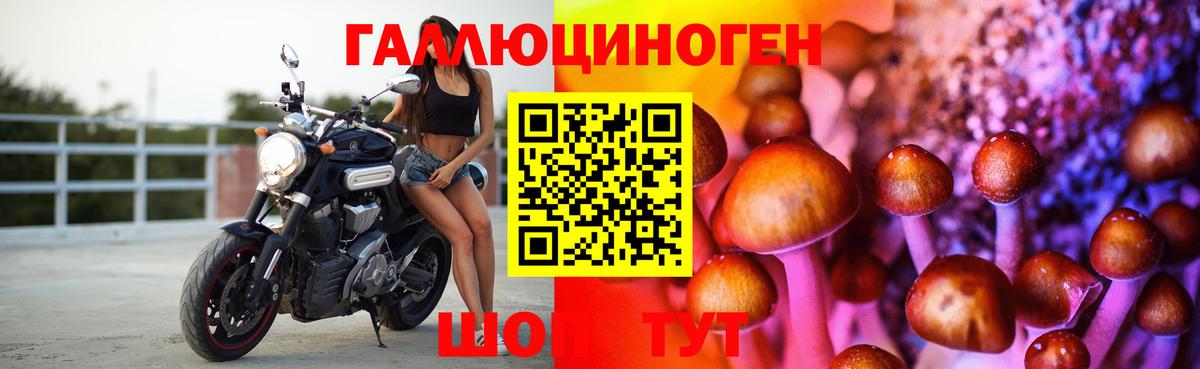 Галлюциногенные грибы Cubensis Богородск