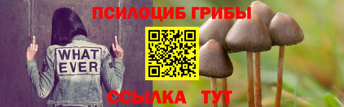 Псилоцибиновые грибы GOLDEN TEACHER Богородск